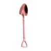 Rose Red-Spoon